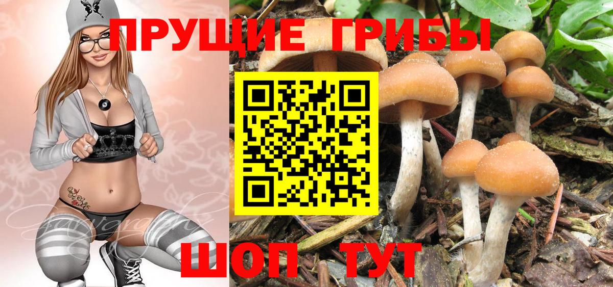 где купить наркотик  Вход с VPN  Лысьва  Галлюциногенные грибы MAGIC MUSHROOMS 