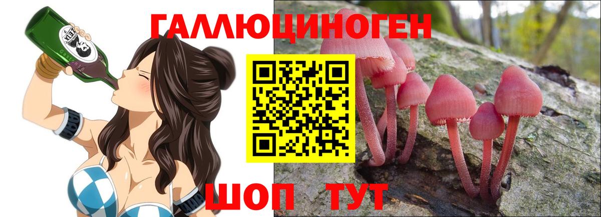 Псилоцибиновые грибы мицелий Лысьва